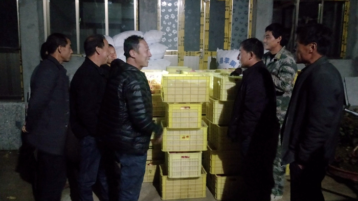 村干部檢查即將裝箱的蘋果 - 副本.jpg